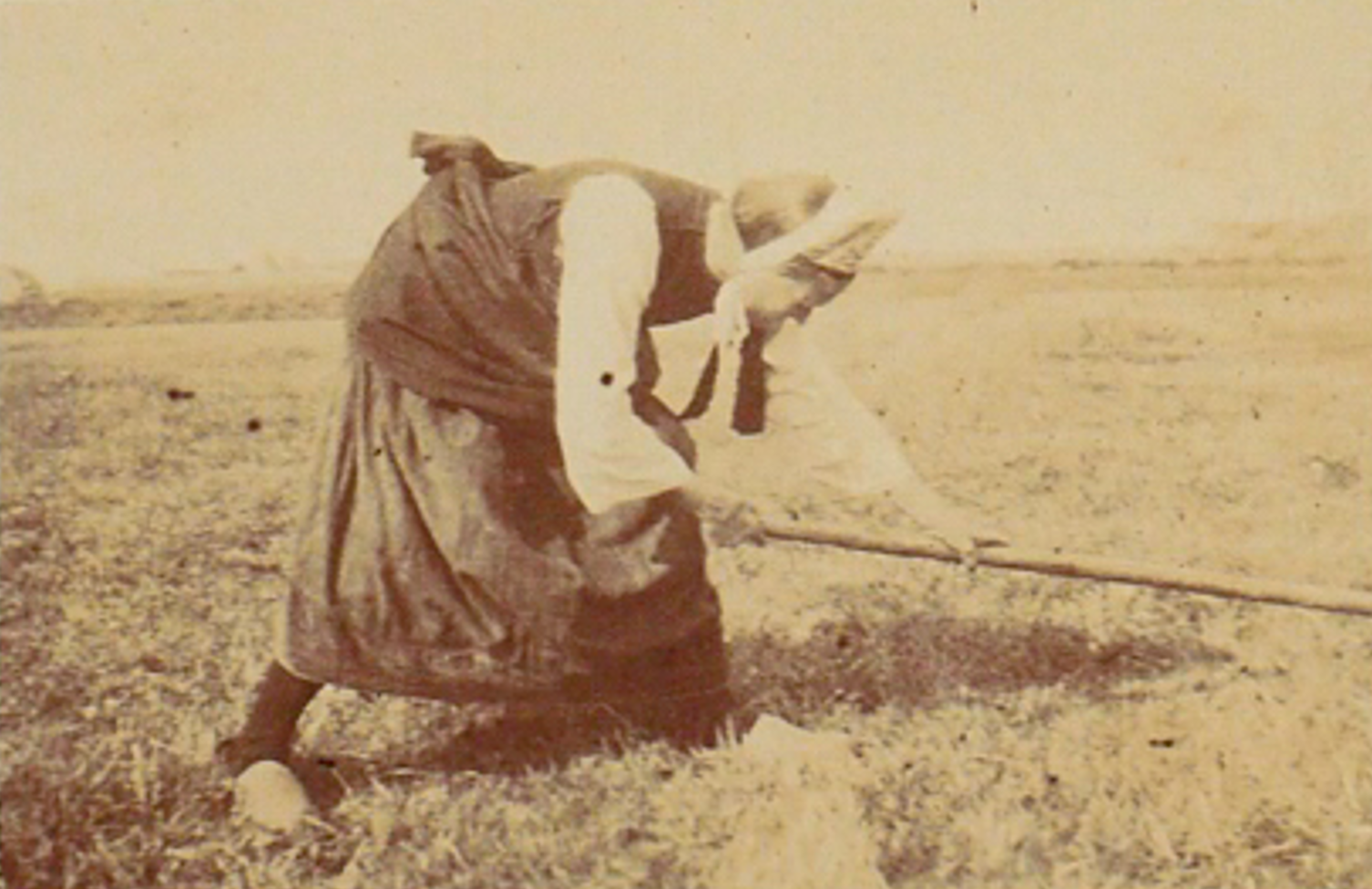 Capture d'écran 2026 05 25 175254